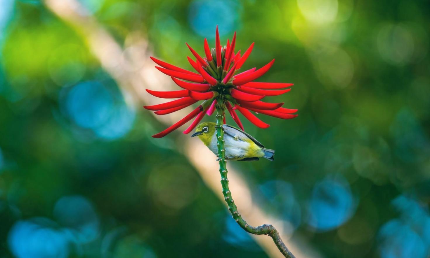بيئة تعلم تفاعلية للمشاركين
